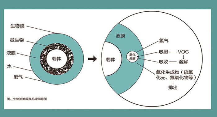 生(shēng)物除臭工作(zuò)原理(lǐ)